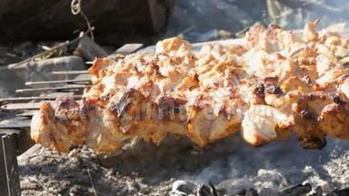 许多肉串上的肉块是在篝火上烤的。 肉串或烤肉在自然界中是烤的。 脂肪流量